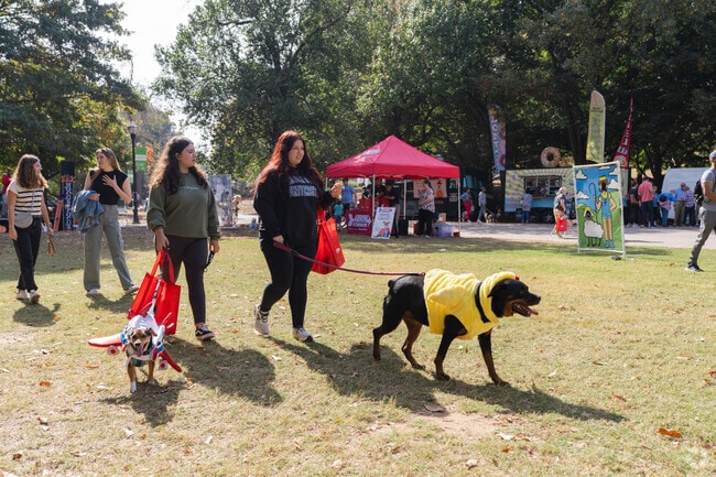 Atlanta's Best Dog Howl-O-Ween Festival