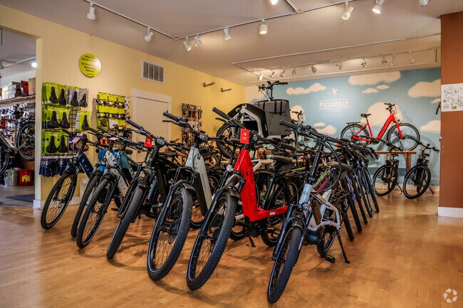 Piccadilly Cycles offers a wide variety of bicycles in Ashland's Railroad District.