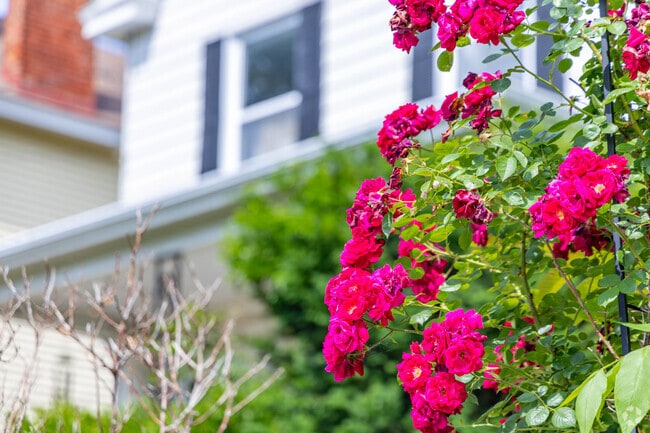 Beauty can be found in many places throughout Norwood.