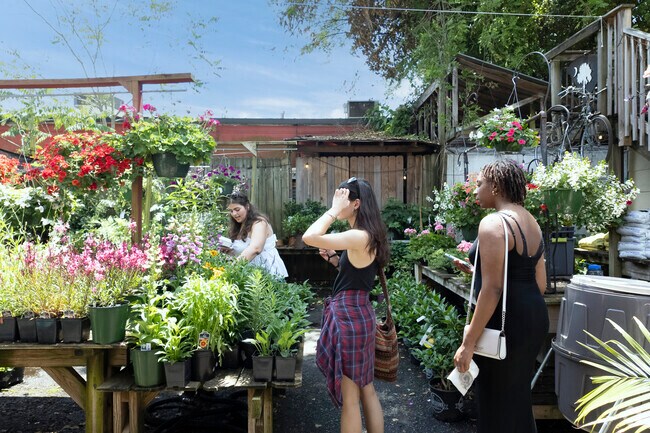 Gardner's Outpost's outdoor selection of plants makes for a pleasant experience all its' own.