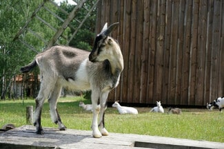 44 Heinle Rd Unit ID1328125P, Swan Lake, NY 12783