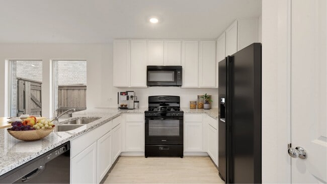 244 Back Country Dr, Little Elm, TX 75068 - photo 2