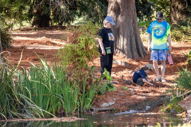 Families enjoy the lush trees and soothing streams of the Fullerton Arboretum.