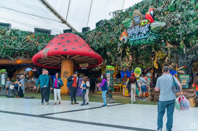 Dine in the Jungle Vibes of Rain Forest Cafe at Sawgrass Mall.