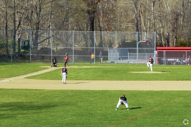 A pitcher throws the ball to the batter at the Frink Little League Field near Scotland.