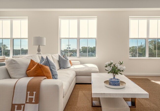 Light Filled Living Room