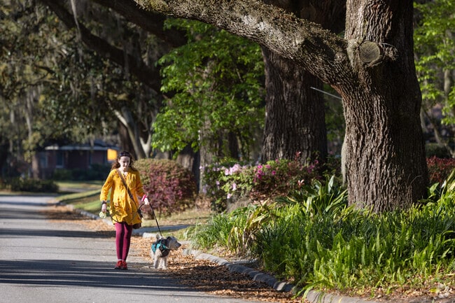 Walk the tree lined streets of Groveland-Kensington Park.