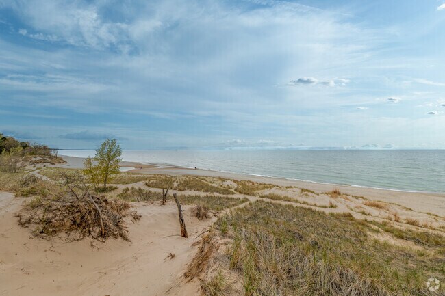 The sight of 200-foot dunes surprises many first-time visitors to Shorwood-Tower Hills-Harbert.