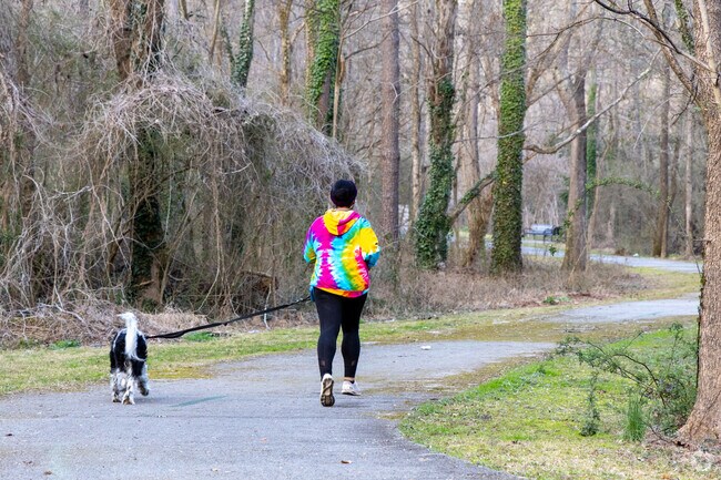 Southeast Atlanta's Southtowne Trail meanders gracefully through a lush forest of towering, mature trees, creating a serene and inviting atmosphere for nature lovers and hikers alike.