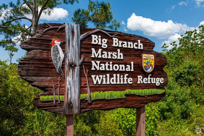 Big Branch Marsh National Wildlife Refuge is just north of New Orleans in Big Branch.