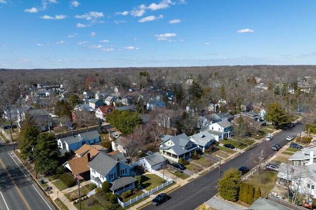Tree lined streets