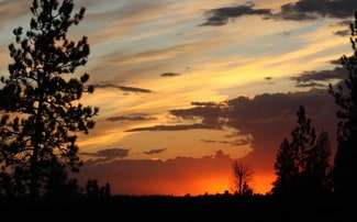 Moen and Chapman, Spokane Valley, WA 99016