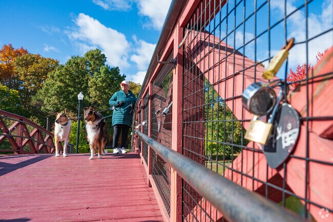 The Wooden Bridge is a common destination for dog walks near Salisbury Street.