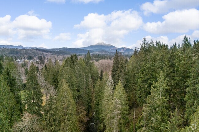 Explore the wilderness at O’Reilly Acres County Park Reserve near Lake Bosworth.