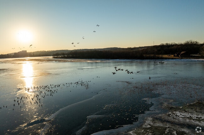 The sunsets on Lake Springfield as geese huddle together for a cold night.