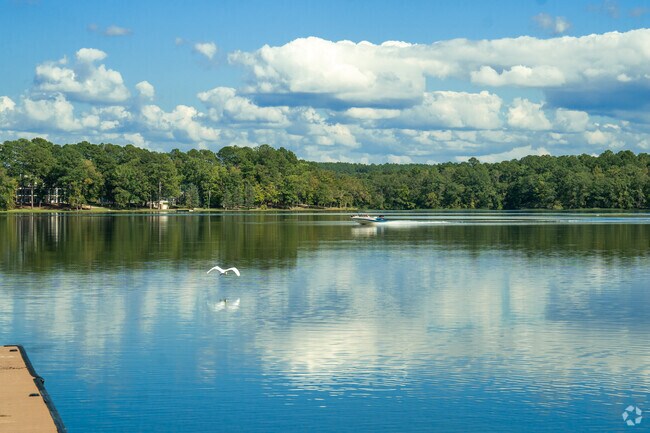 Watch the boats roll in and the birds fly at Beeswax Park in South Shelby.