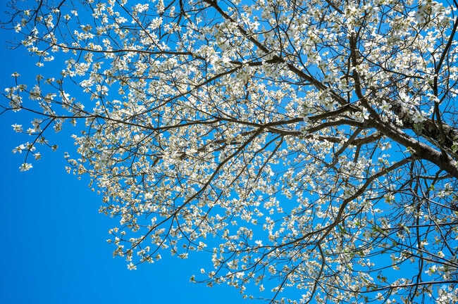 Enjoy the beauty found in the Central Park neighborhood.