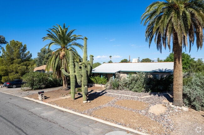 Large saguaros stand tall in a Peter Howell home.