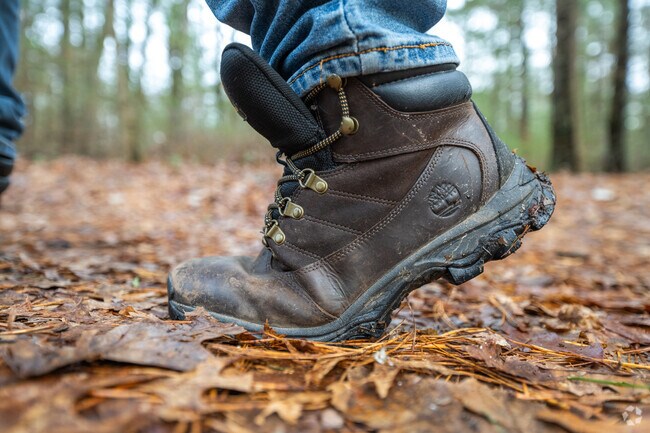 Put on your hiking boots and hit the trails of Stoughton Memorial Conservation Land.
