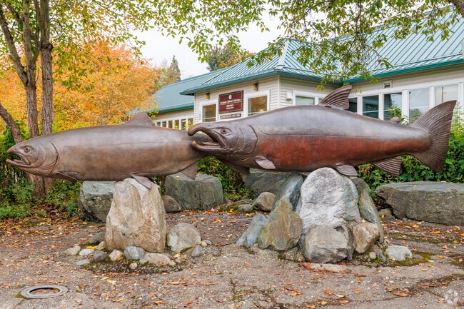 Locals can visit the Salmon Hatchery to learn all about fish in Olde Town.