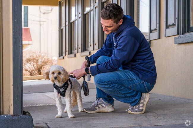 Residents enjoy the walks with their beloved pets in the town of Honey Brook.