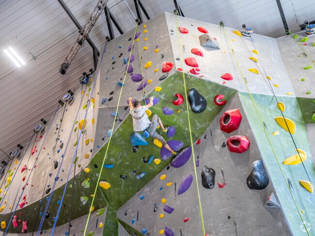Roca Climbing and Fitness helps residents stay active through long winters.