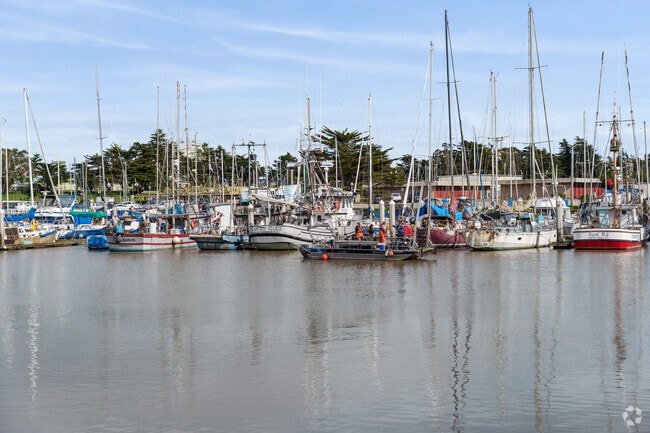 A collection of boats moored at Moss Landing's harbor.