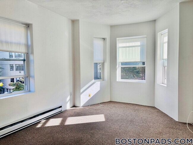 111 Norway St unit 302, Boston, MA 02115 - photo 3