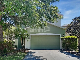 17536 Queensland St, Land O Lakes, FL 34638