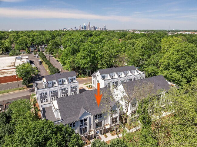 1419 Collier Walk Aly unit CSW0208, Charlotte, NC 28205 - photo 4