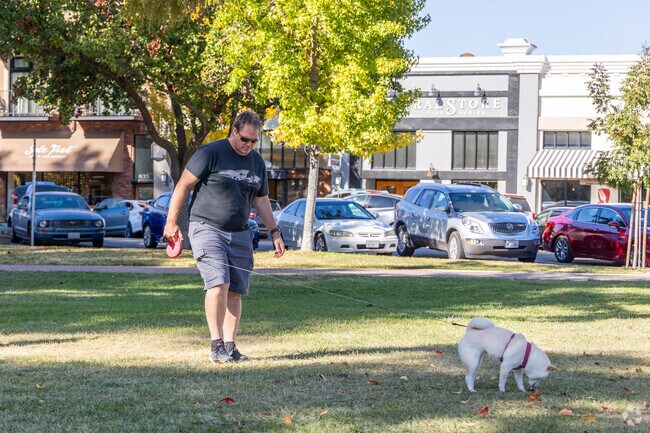You can take your dog for a walk in Whitley Gardens.
