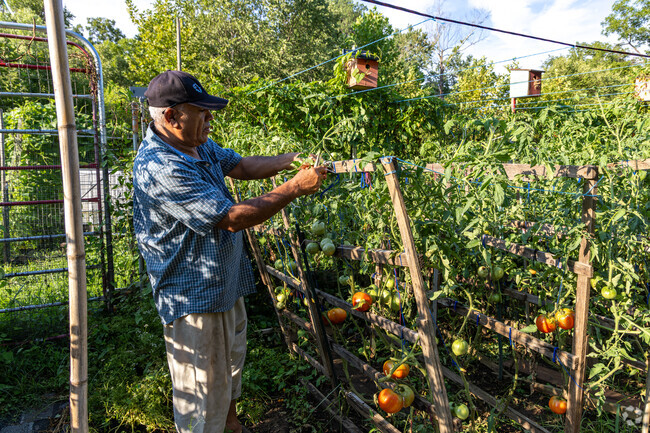 Mill Creek residents can partake in gardening within the neighborhood.