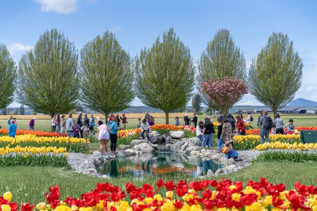 Lake Ketchum residents often go to Tulip Town for the annual Tulip Festival in Mount Vernon.