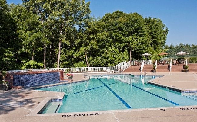 Sparkling Pool