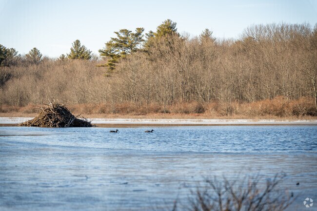 Enjoy the fresh air at Joe's Rock in West Wrentham, MA, where trails lead to a scenic pondside view.