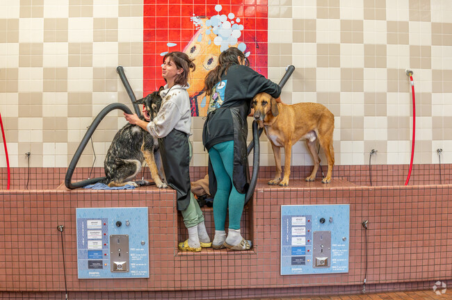 There is a convenient dog wash available at Pet Food Express near El Macero.