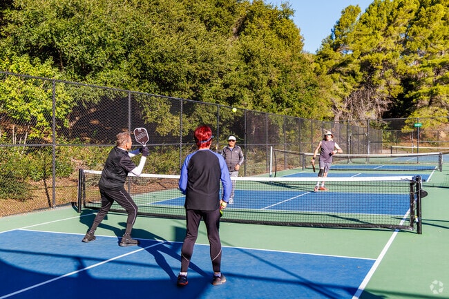 From beginners to pros, everyone loves pickleball at Glen Cove Park's top-notch courts.