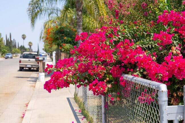 Tipton homes often feature grassy lawns, palm trees, and alleyway access.