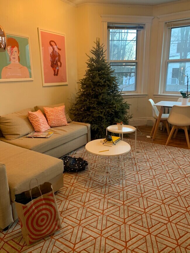 12 Euston St unit 2, Brookline, MA 02446 - photo 4