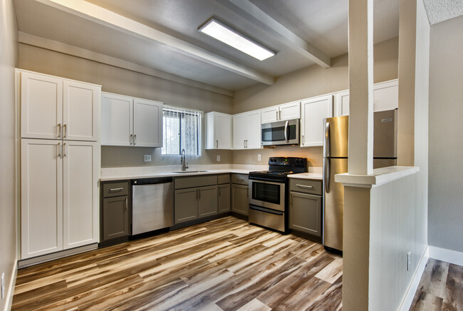 Renovated Kitchen