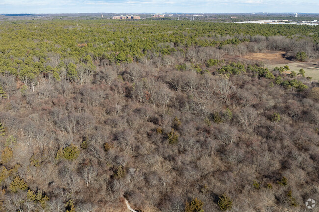 There are many hiking trails at the Edgewood Oak Brush Preserve in Deer Park.