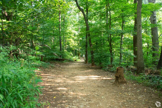 Traverse the serene Whitehaven Parkway trail, a hidden gem in Burleith.