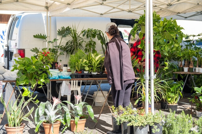 Blackstock South hosts weekly farmers' markets.