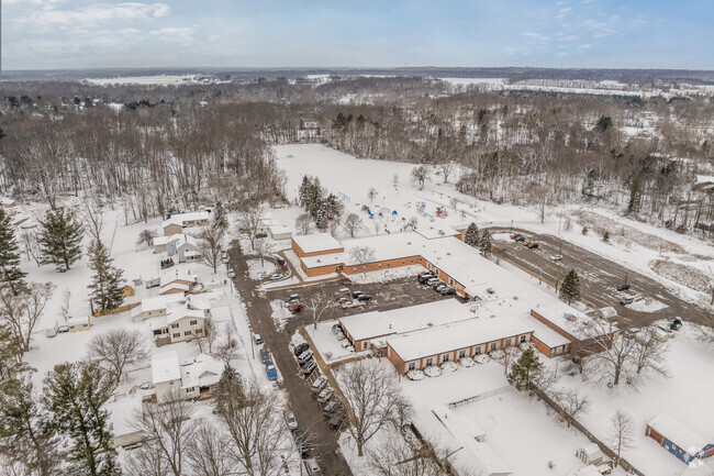 An aerial view of Dimondale Elementary School.