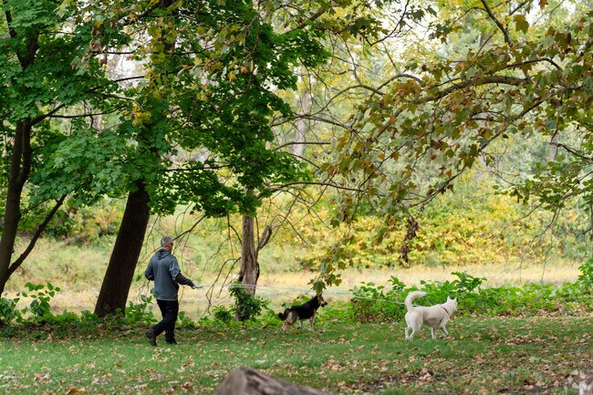 Many trails in Cazenovia Park near Abbott McKinley go along the Cazenovia Creek.