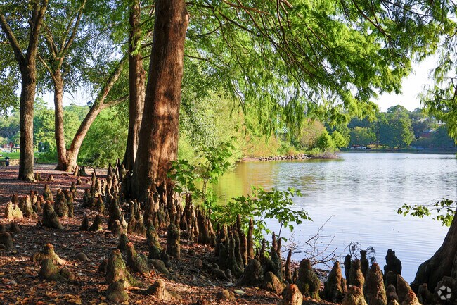 Lake Ella has some of the most gorgeous scenic views in Tallahassee.