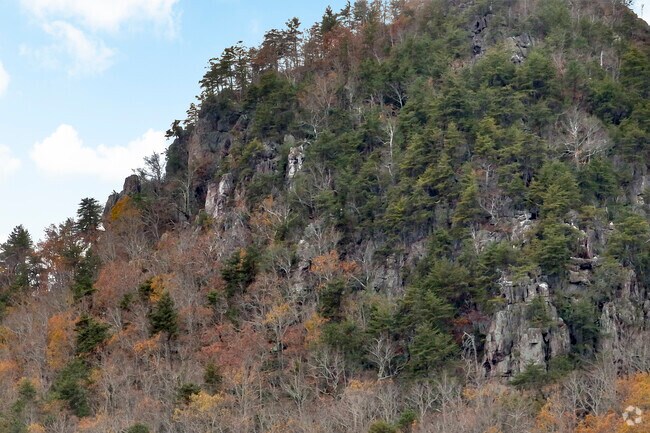 Kings Mountain is part of the state park and the Kings Mountain National Military Park.