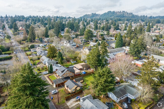 Evergreens line streets in Parkrose.