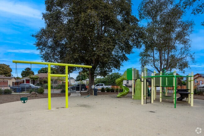 Swing into joy at Cayetano Park.