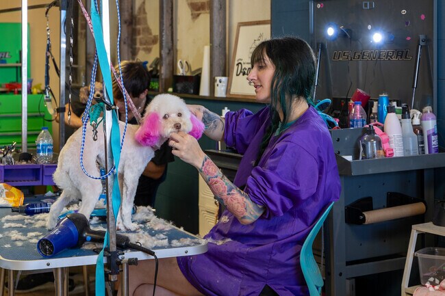 At The Southern Pooch Dog Salon, this pup looks pretty in pink in downtown Kingsland.